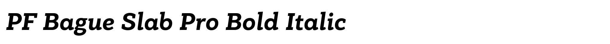 PF Bague Slab Pro Bold Italic image